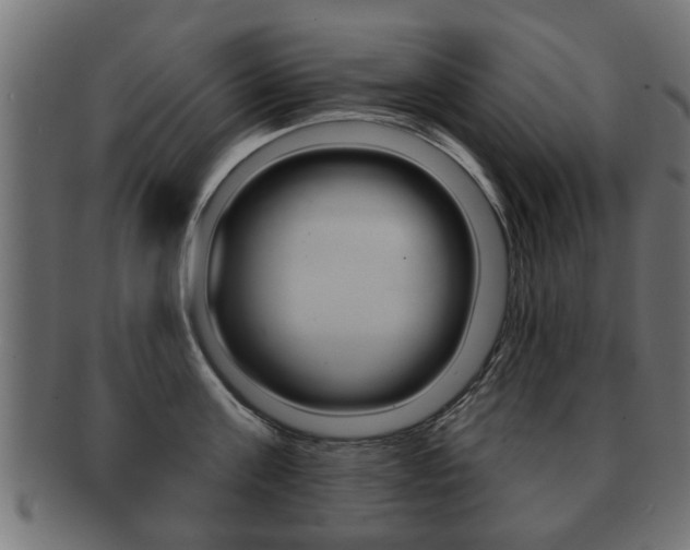 X0000091990811200709061219