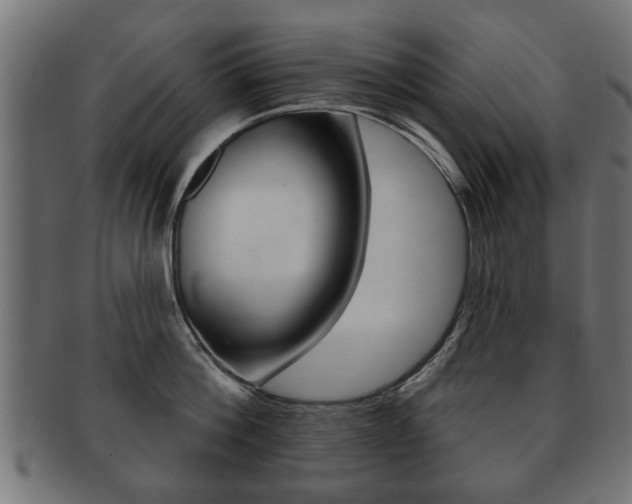 X0000091990812200709061219