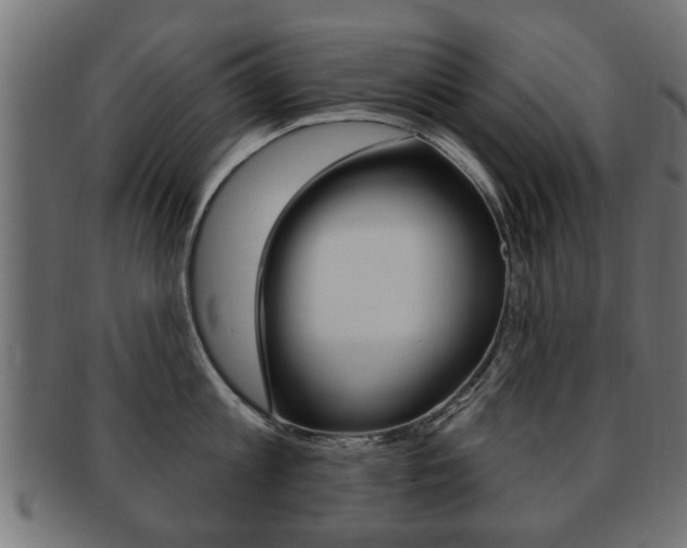 X0000091990813200709061219