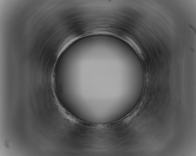 X0000091990814200709061219