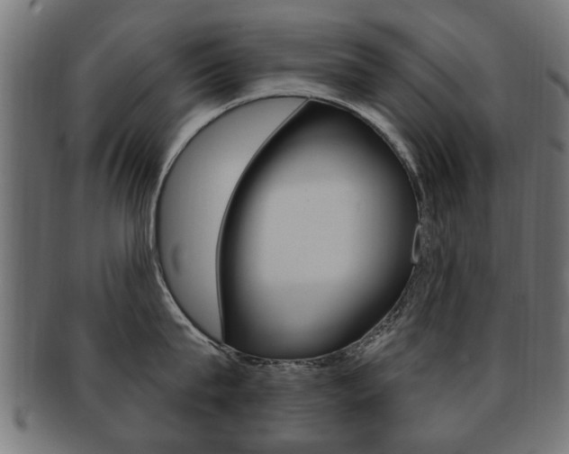 X0000091990815200709061219