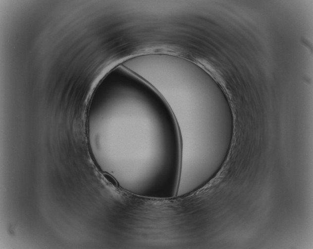 X0000091990816200709061219