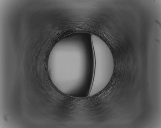 X0000091990817200709061218