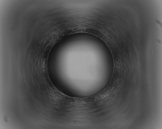 X0000091990818200709061218
