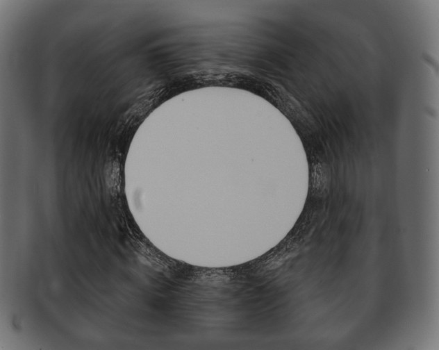 X0000091990820200709061218