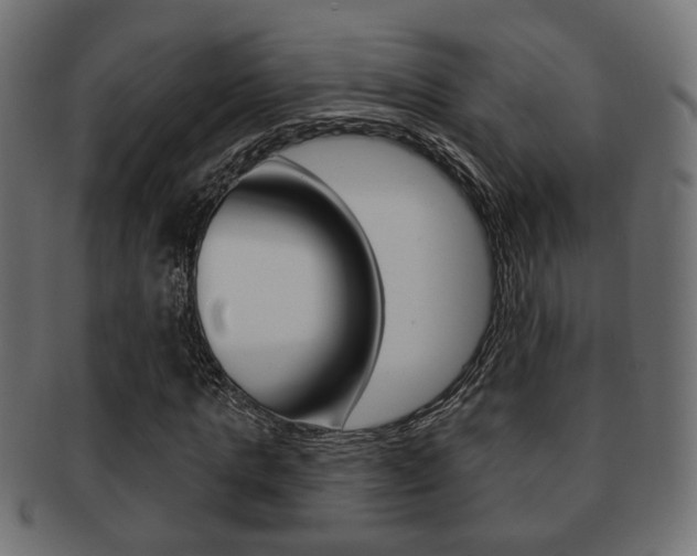 X0000091990821200709061218