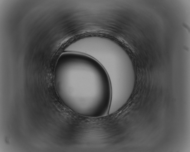 X0000091990822200709061218