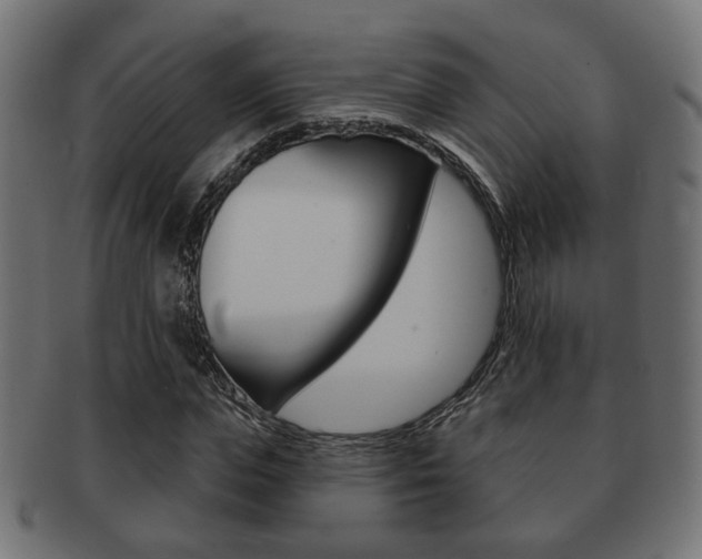 X0000091990823200709061219