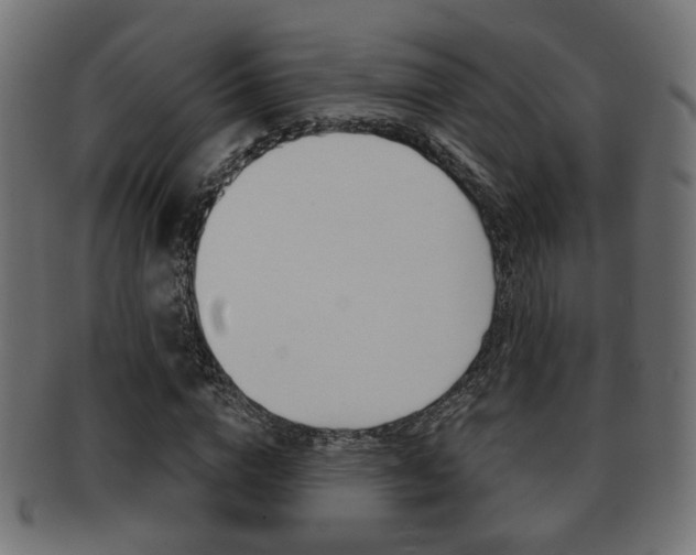 X0000091990824200709061219