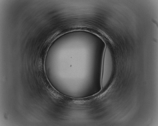 X0000091990825200709061219