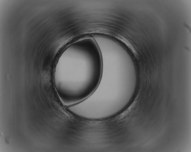 X0000091990826200709061219