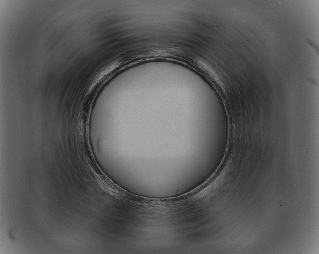 X0000091990827200709061219