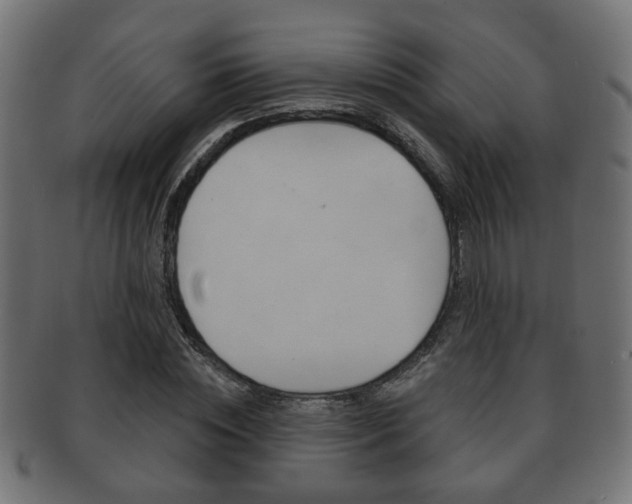 X0000091990828200709061219