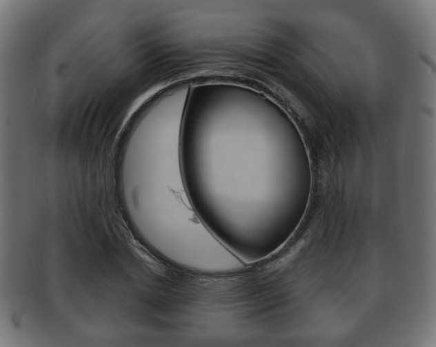 X0000091990830200709061219