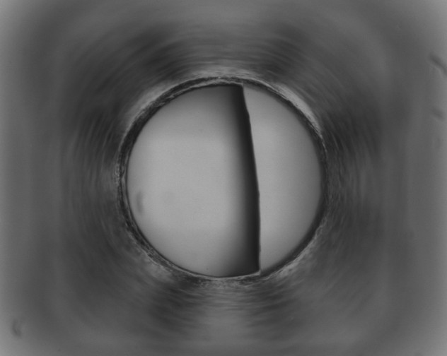 X0000091990831200709061219