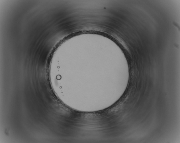 X0000091990832200709061219