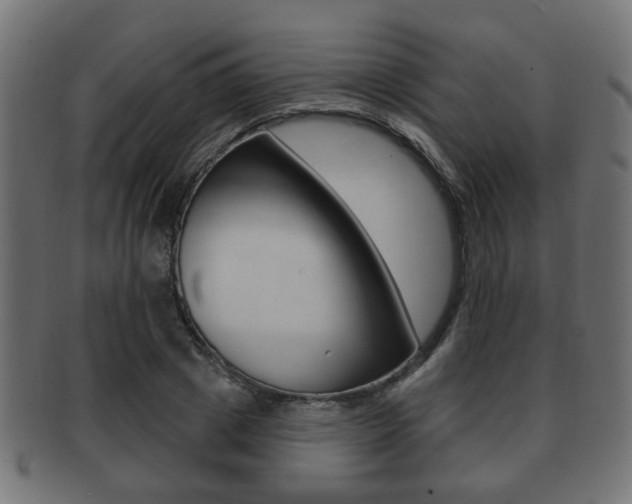 X0000091990833200709061219