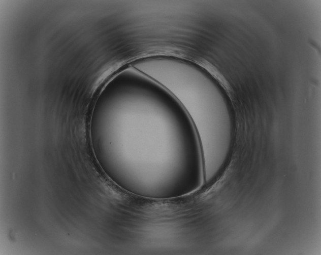 X0000091990834200709061219