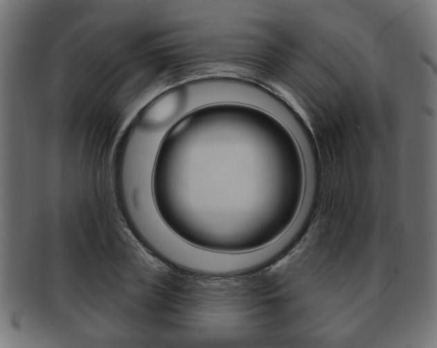 X0000091990835200709061219