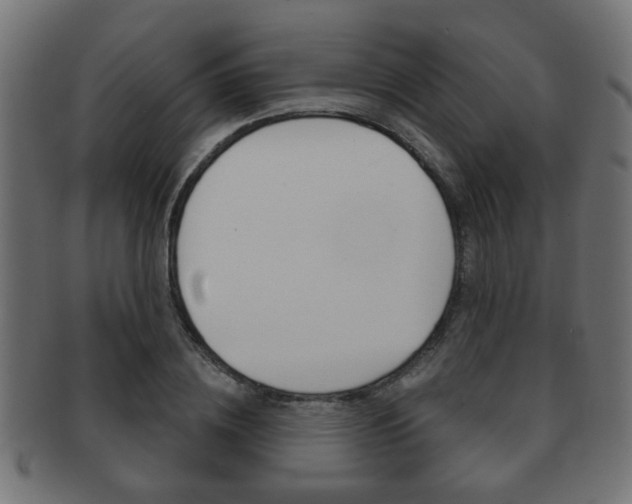 X0000091990836200709061219