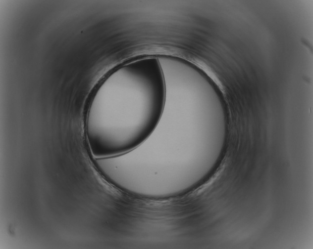 X0000091990837200709061219