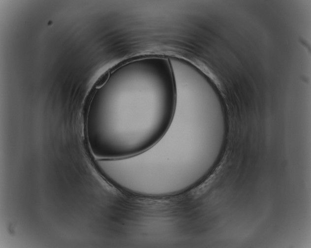 X0000091990838200709061219