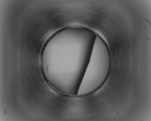 X0000091990839200709061219