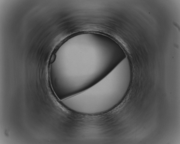 X0000091990840200709061219