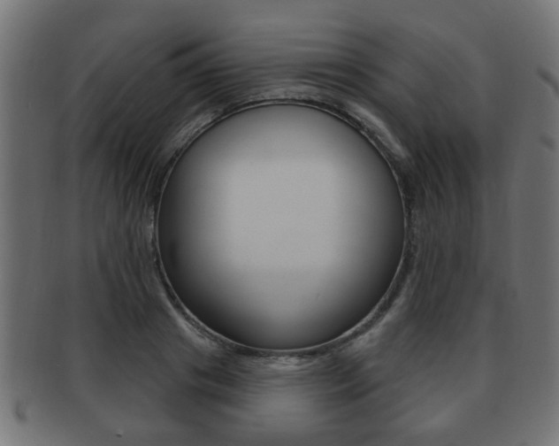 X0000091990841200709061219