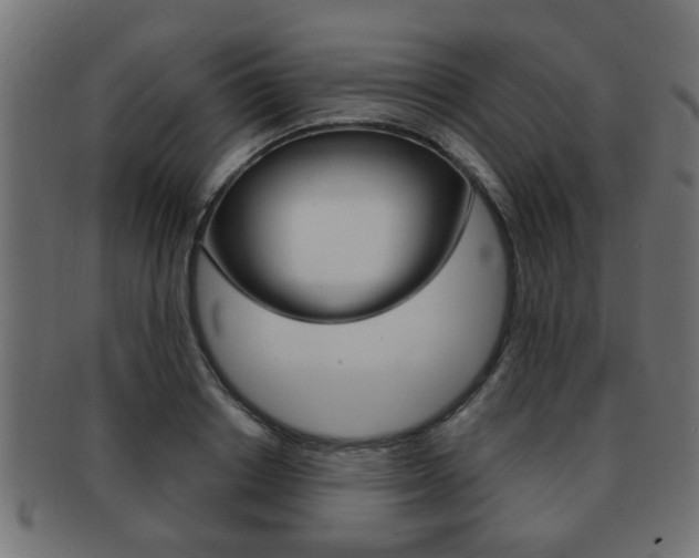 X0000091990842200709061219