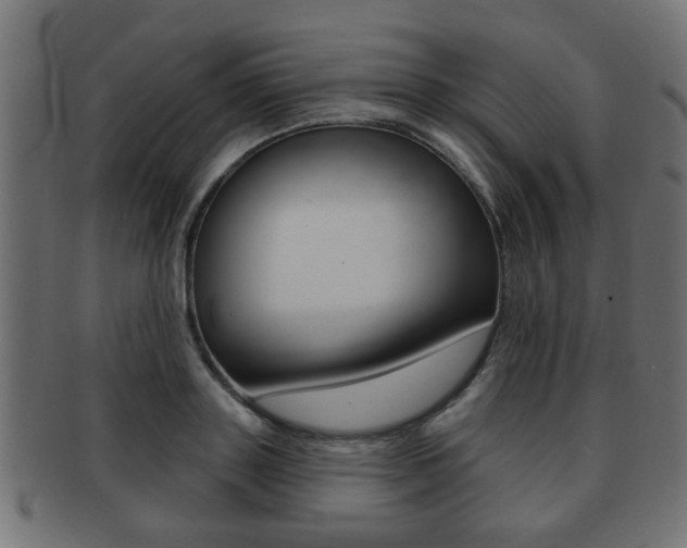 X0000091990843200709061219