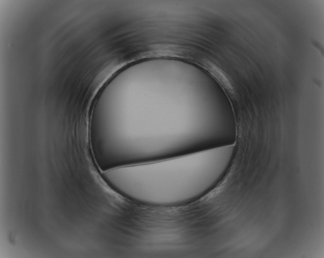 X0000091990844200709061219