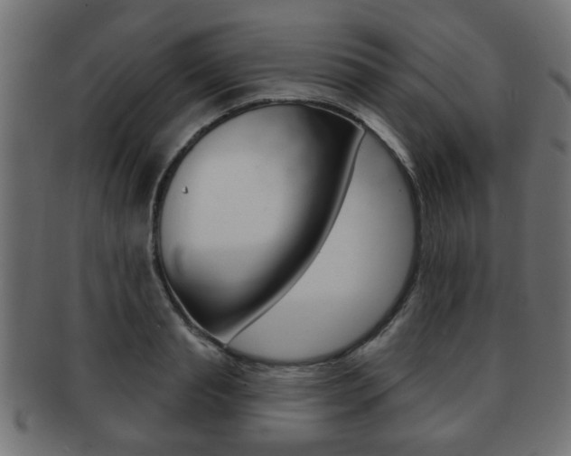 X0000091990845200709061219