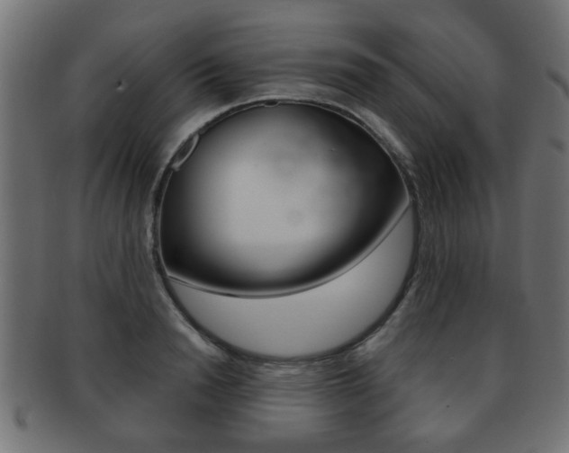 X0000091990846200709061219