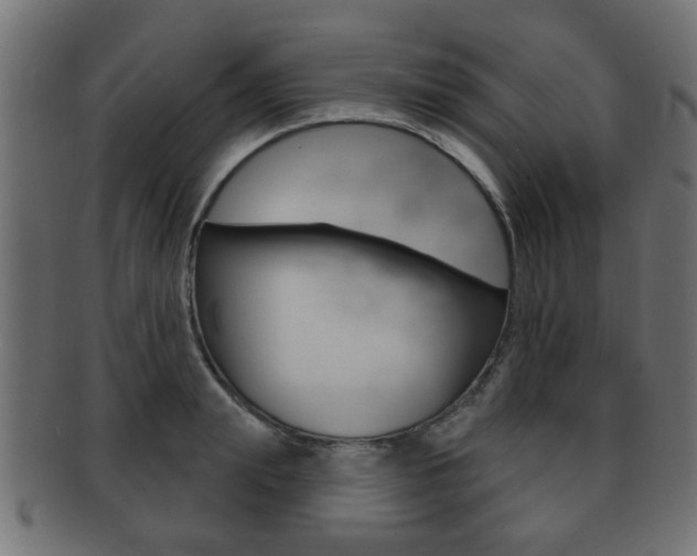 X0000091990847200709061219