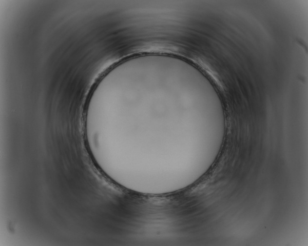 X0000091990848200709061219