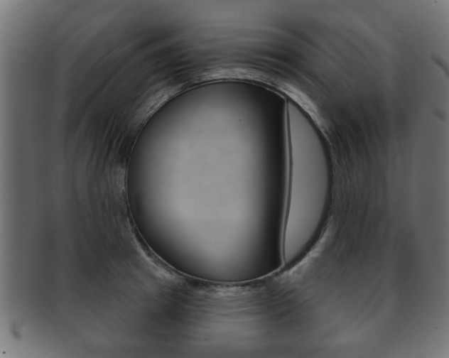 X0000091990849200709061219