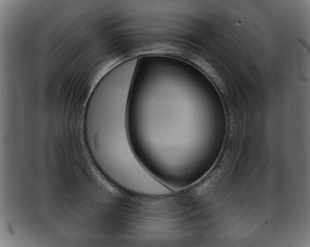 X0000091990850200709061219