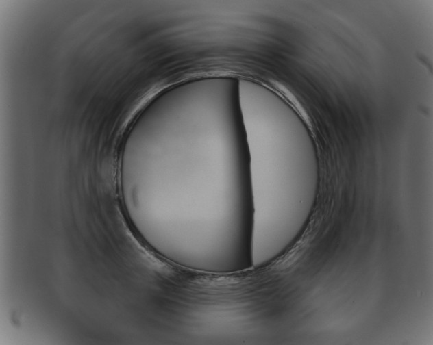 X0000091990851200709061219