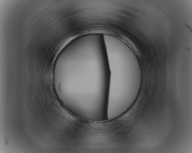 X0000091990852200709061219