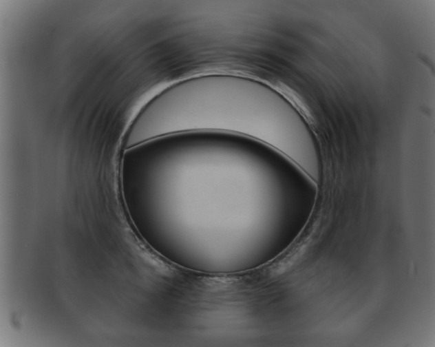 X0000091990854200709061219