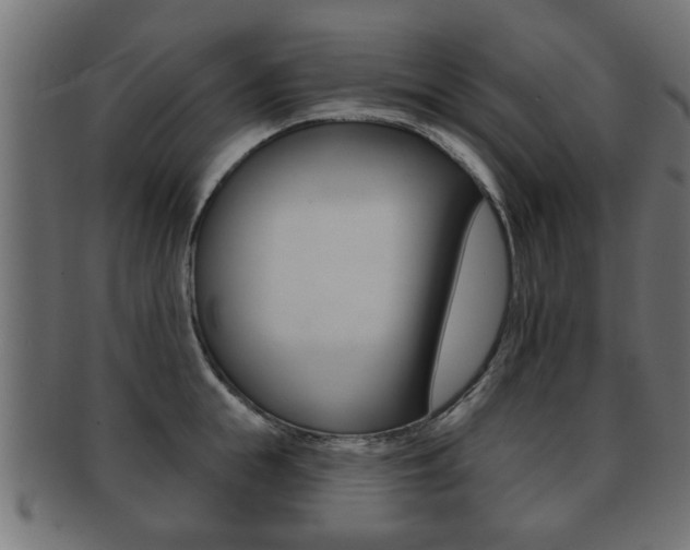 X0000091990855200709061219