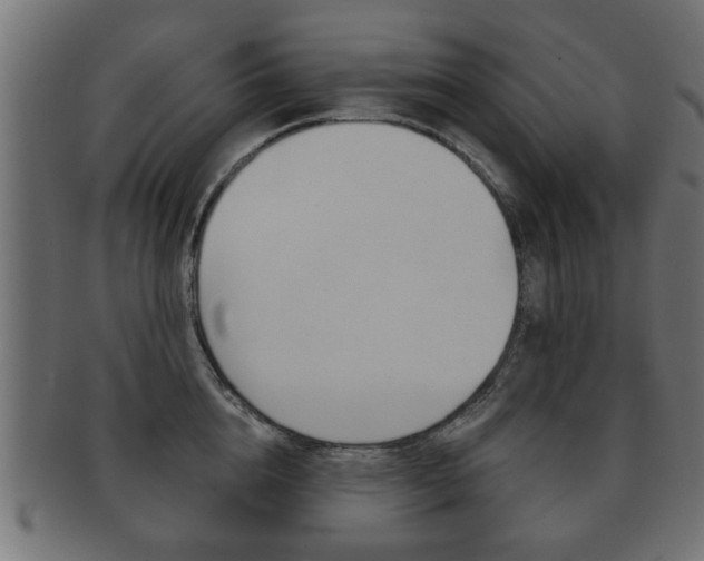 X0000091990856200709061219