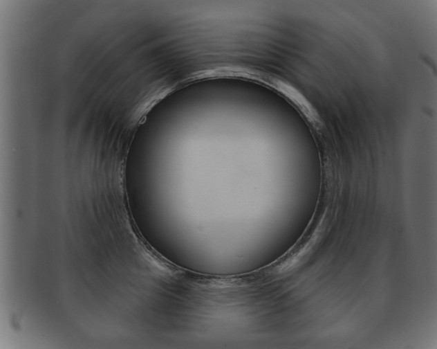 X0000091990857200709061219
