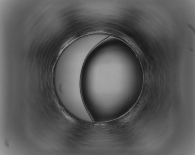 X0000091990858200709061219