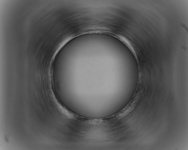 X0000091990859200709061219