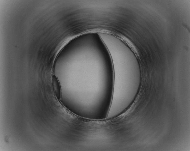 X0000091990860200709061219