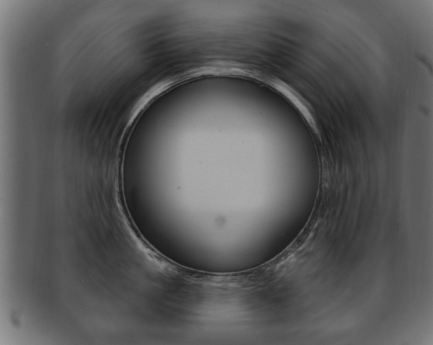 X0000091990861200709061219