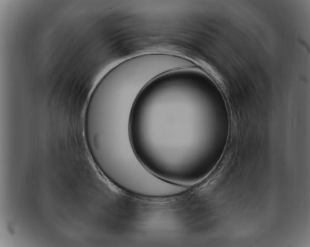 X0000091990862200709061219