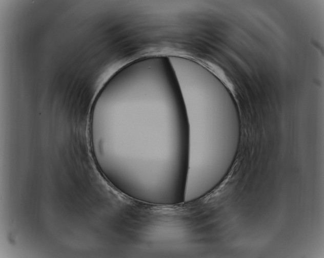 X0000091990863200709061219